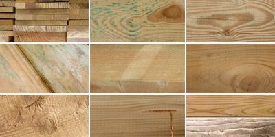 Wood Characteristics