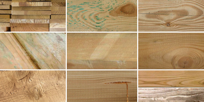 Wood Characteristics